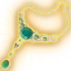 Amulette