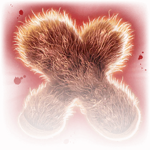 Gants